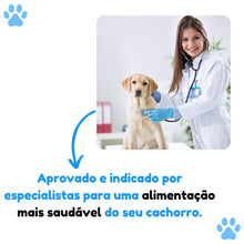 Upload image to gallery viewer, Comedouro Educador Interativo de Plástico para Cães | BichanosPet™