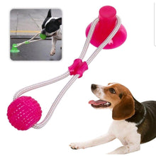 Upload image to gallery viewer, Mordedor Interativo Com Ventosa-Cabo de Guerra | BichanosPet™
