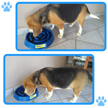 Upload image to gallery viewer, Comedouro Educador Interativo de Plástico para Cães | BichanosPet™
