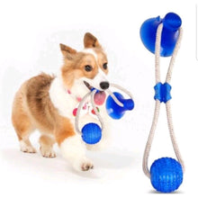 Upload image to gallery viewer, Mordedor Interativo Com Ventosa-Cabo de Guerra | BichanosPet™
