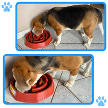 Upload image to gallery viewer, Comedouro Educador Interativo de Plástico para Cães | BichanosPet™
