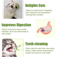 Upload image to gallery viewer, AvoCat Abacate De Brinquedo Para Gatos | BichanosPet™
