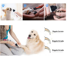 Upload image to gallery viewer, Lixa Elétrica Recarregável Para Pets | BichanosPet™
