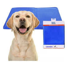 Upload image to gallery viewer, Tapete Gelado Para Pet 50x65 | BichanosPet™
