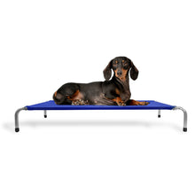 Upload image to gallery viewer, Cama Suspensa Ortopédica 75x50x13 | BichanosPet™
