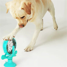 Upload image to gallery viewer, Brinquedo Interativo Giratório Para Cães e Gatos | BichanosPet™
