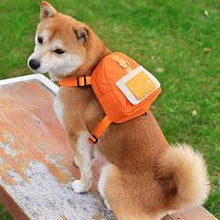 Upload image to gallery viewer, Mochila Peitoral Pet Impermeável | BichanosPet™
