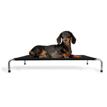 Upload image to gallery viewer, Cama Suspensa Ortopédica 75x50x13 | BichanosPet™
