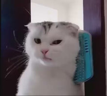 Upload and Play Video in Gallery Viewer, Escova de Parede Coçador Para Gatos Kit 2 Escovas | BichanosPet™
