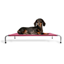 Upload image to gallery viewer, Cama Suspensa Ortopédica 75x50x13 | BichanosPet™
