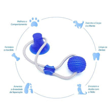 Upload image to gallery viewer, Mordedor Interativo Com Ventosa-Cabo de Guerra | BichanosPet™
