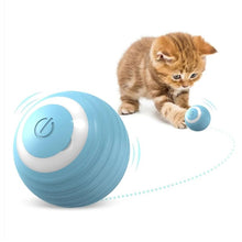Upload image to gallery viewer, Bolinha Interativa Para Pets | BichanosPet™
